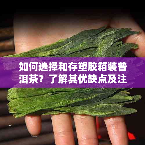 如何选择和存塑胶箱装普洱茶？了解其优缺点及注意事项