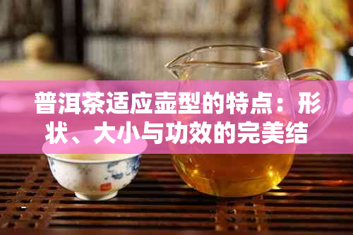 普洱茶适应壶型的特点：形状、大小与功效的完美结合