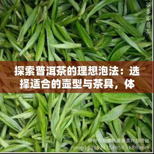 探索普洱茶的理想泡法：选择适合的壶型与茶具，体验醇厚口感与飘逸香气