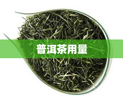 普洱茶用量