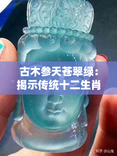 古木参天苍翠绿：揭示传统十二生肖中的哪些动物特质？