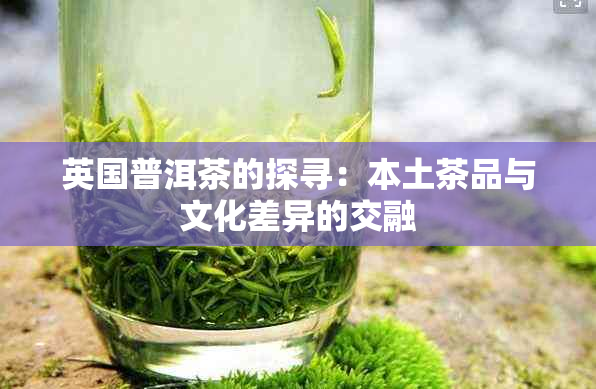 英国普洱茶的探寻：本土茶品与文化差异的交融