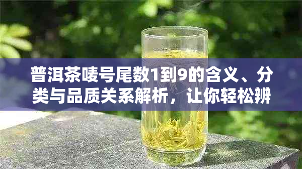 普洱茶唛号尾数1到9的含义、分类与品质关系解析，让你轻松辨别正品