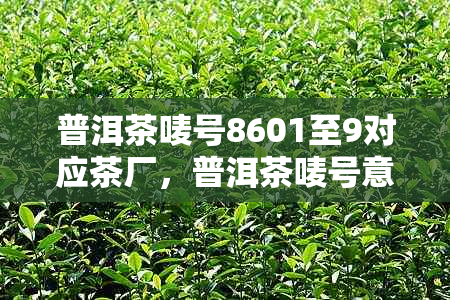 普洱茶唛号8601至9对应茶厂，普洱茶唛号意义解析及对照表——以8663为例