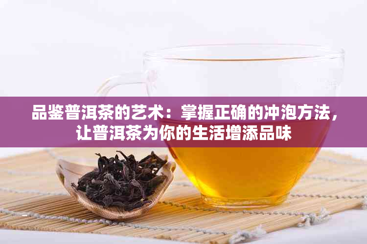 品鉴普洱茶的艺术：掌握正确的冲泡方法，让普洱茶为你的生活增添品味