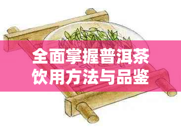 全面掌握普洱茶饮用方法与品鉴技巧：从选茶、泡茶到品评全过程详解