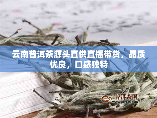 云南普洱茶源头直供直播带货，品质优良，口感独特