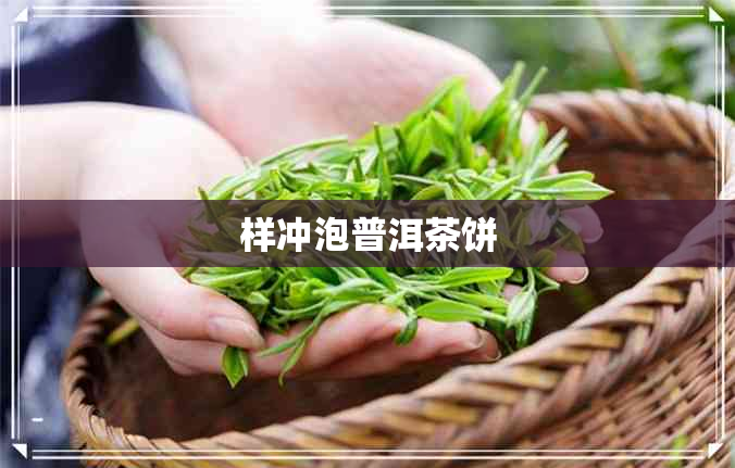 样冲泡普洱茶饼