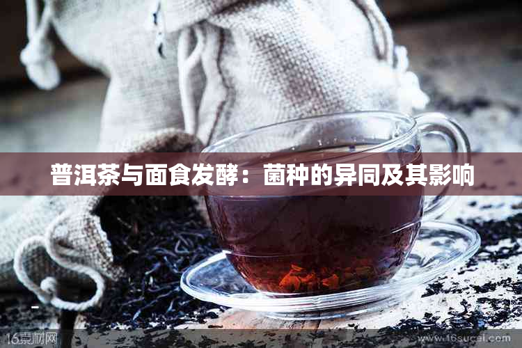 普洱茶与面食发酵：菌种的异同及其影响