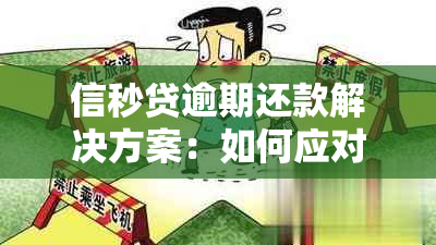 信秒贷逾期还款解决方案：如何应对债务危机并避免信用受损