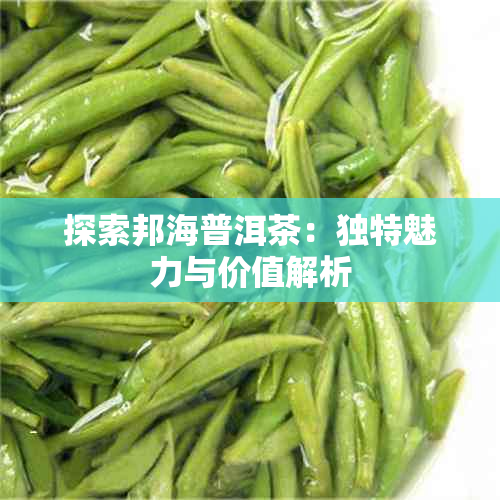 探索邦海普洱茶：独特魅力与价值解析