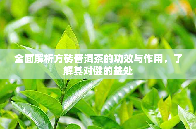 全面解析方砖普洱茶的功效与作用，了解其对健的益处