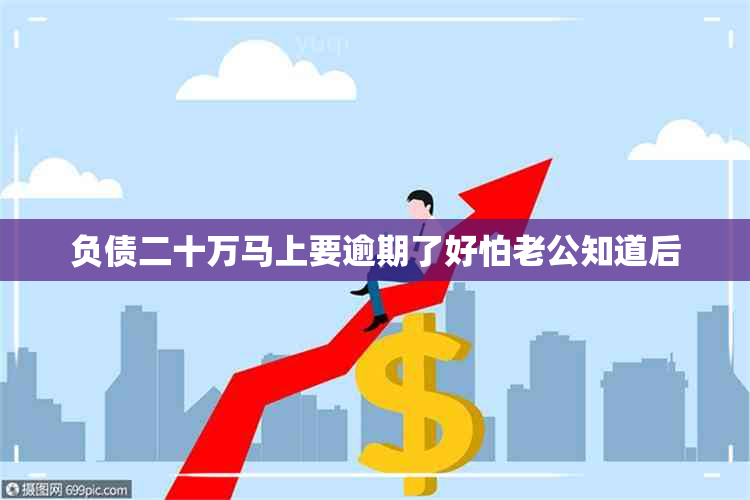 负债二十万马上要逾期了好怕老公知道后