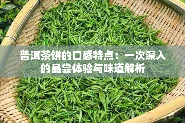 普洱茶饼的口感特点：一次深入的品尝体验与味道解析