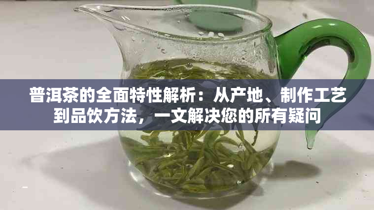 普洱茶的全面特性解析：从产地、制作工艺到品饮方法，一文解决您的所有疑问