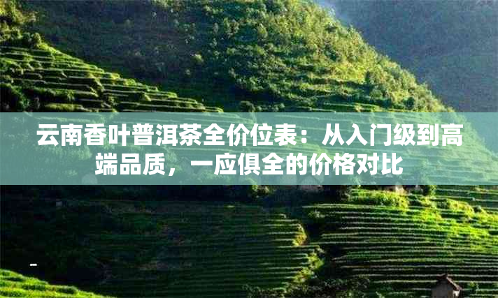 云南香叶普洱茶全价位表：从入门级到高端品质，一应俱全的价格对比