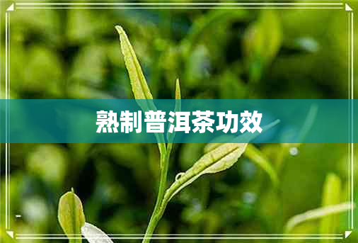 熟制普洱茶功效