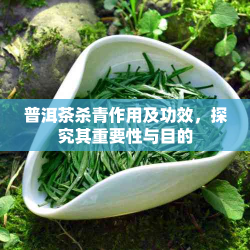 普洱茶杀青作用及功效，探究其重要性与目的