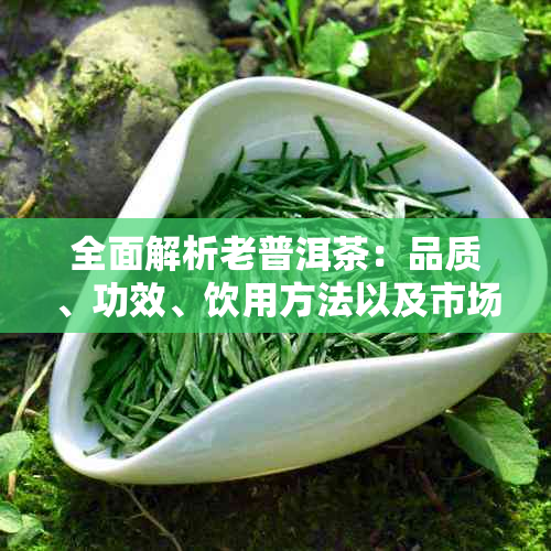 全面解析老普洱茶：品质、功效、饮用方法以及市场行情，解答您的所有疑问