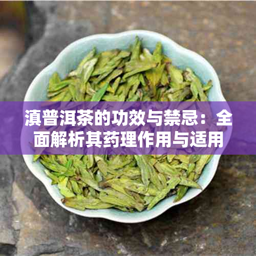 滇普洱茶的功效与禁忌：全面解析其理作用与适用人群