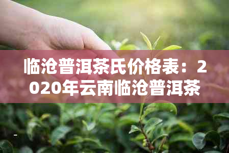 临沧普洱茶氏价格表：2020年云南临沧普洱茶最新价格及品质解析