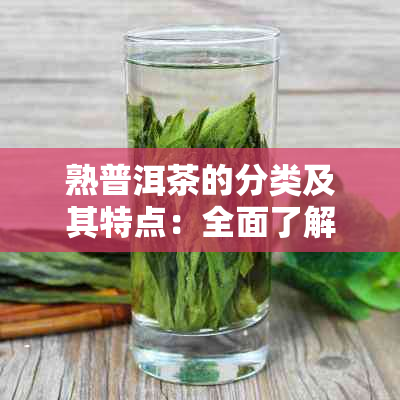 熟普洱茶的分类及其特点：全面了解不同种类的熟普洱茶