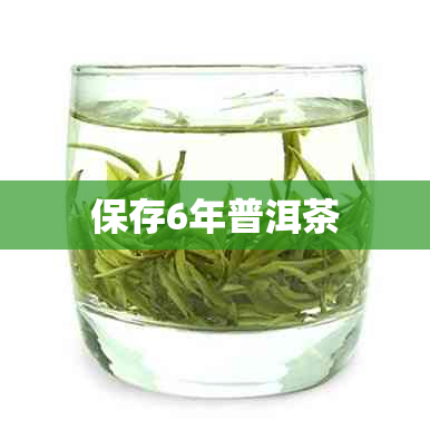 保存6年普洱茶