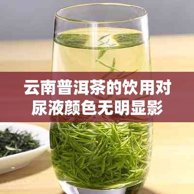 云南普洱茶的饮用对尿液颜色无明显影响，医生证实正常情况下不会变黄