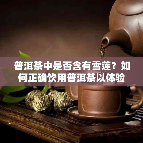 普洱茶中是否含有雪莲？如何正确饮用普洱茶以体验其独特风味？