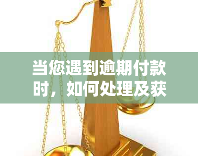 当您遇到逾期付款时，如何处理及获取提示付款金额的全面指南