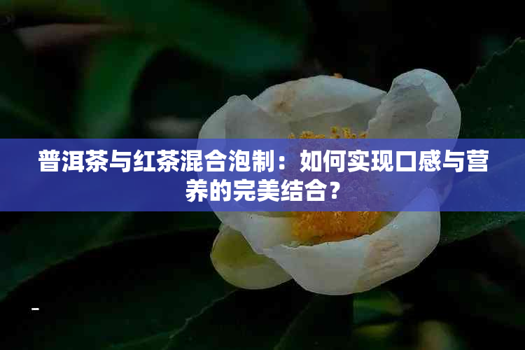 普洱茶与红茶混合泡制：如何实现口感与营养的完美结合？