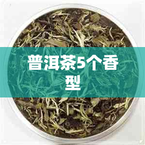 普洱茶5个香型