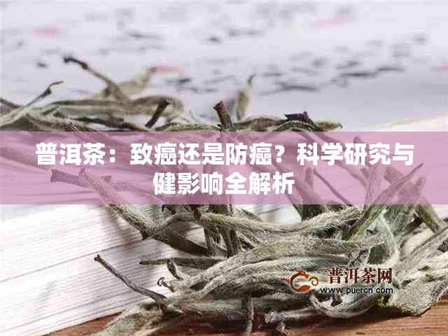 普洱茶：致癌还是防癌？科学研究与健影响全解析