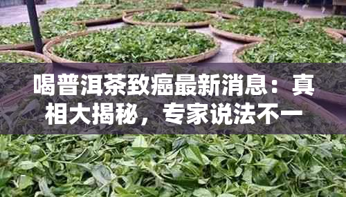 喝普洱茶致癌最新消息：真相大揭秘，专家说法不一！