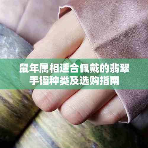 鼠年属相适合佩戴的翡翠手镯种类及选购指南