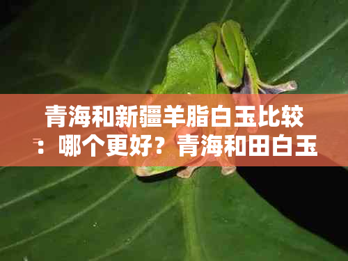 青海和新疆羊脂白玉比较：哪个更好？青海和田白玉与羊脂玉的区别是什么？