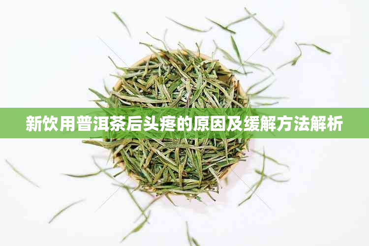 新饮用普洱茶后头疼的原因及缓解方法解析