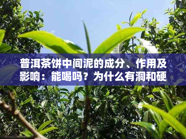 普洱茶饼中间泥的成分、作用及影响：能喝吗？为什么有洞和硬块？