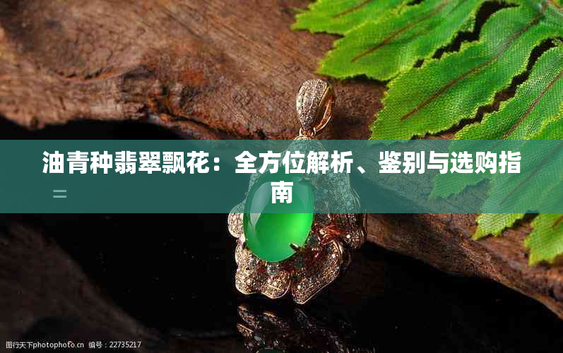 油青种翡翠飘花：全方位解析、鉴别与选购指南