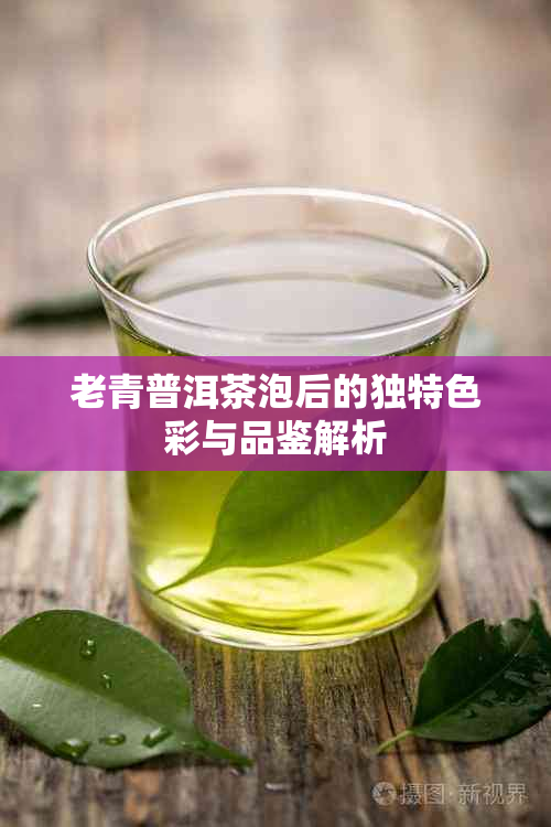 老青普洱茶泡后的独特色彩与品鉴解析