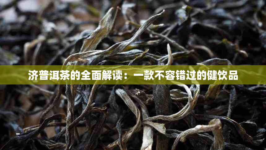 济普洱茶的全面解读：一款不容错过的健饮品