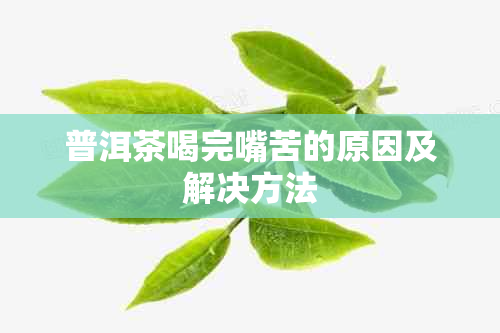 普洱茶喝完嘴苦的原因及解决方法