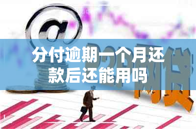 分付逾期一个月还款后还能用吗