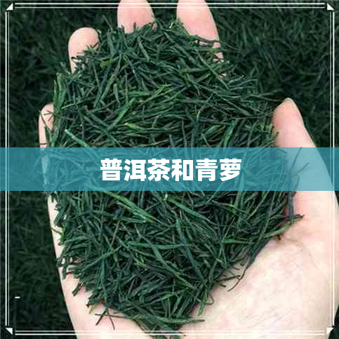 普洱茶和青萝