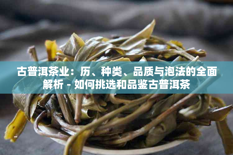 古普洱茶业：历、种类、品质与泡法的全面解析 - 如何挑选和品鉴古普洱茶