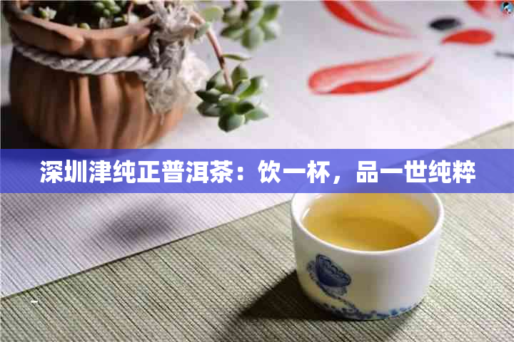 深圳津纯正普洱茶：饮一杯，品一世纯粹