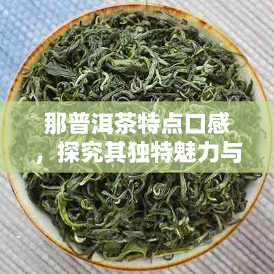 那普洱茶特点口感，探究其独特魅力与风味