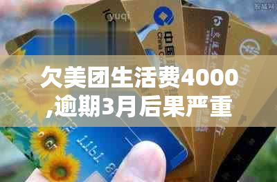 欠美团生活费4000,逾期3月后果严重吗？如何解决？