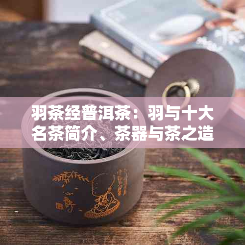 羽茶经普洱茶：羽与十大名茶简介、茶器与茶之造