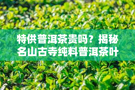 特供普洱茶贵吗？揭秘名山古寺纯料普洱茶叶的真实价值